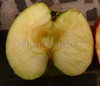 jonagored pomme