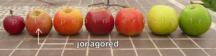 pommiers jonagored